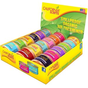 AROMATIZANTE PARA AUTO CALIFORNIA SCENTS